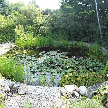 Bed And Breakfast Uelsen *