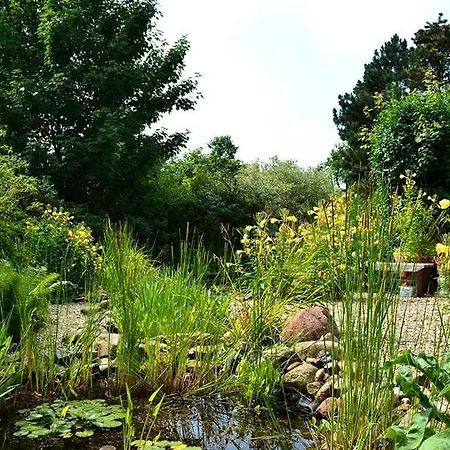 Bed & Breakfast Bed And Breakfast Uelsen Uelsen