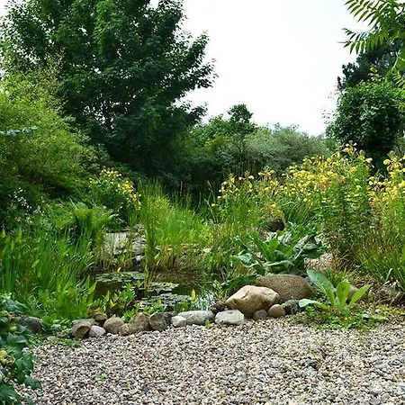 Bed And Breakfast Uelsen Uelsen
