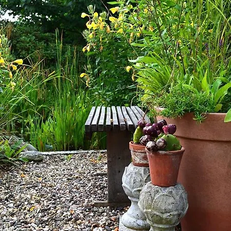 Bed And Breakfast Uelsen Uelsen